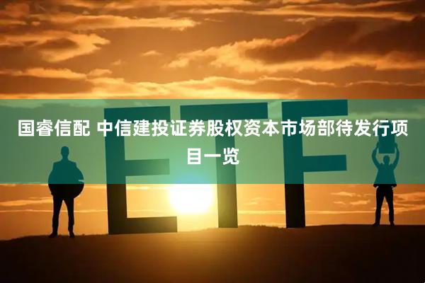 国睿信配 中信建投证券股权资本市场部待发行项目一览