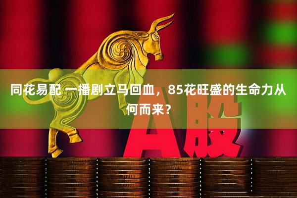 同花易配 一播剧立马回血，85花旺盛的生命力从何而来？