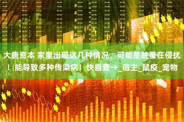 大唐资本 家里出现这几种情况，可能是跳蚤在侵扰！能导致多种传染病！快自查→_宿主_鼠疫_宠物