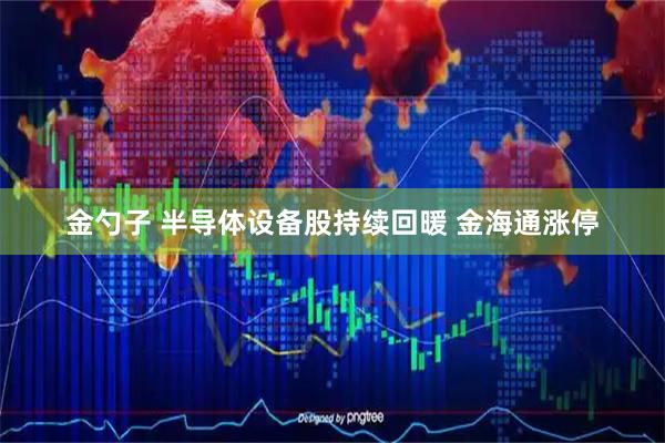 金勺子 半导体设备股持续回暖 金海通涨停