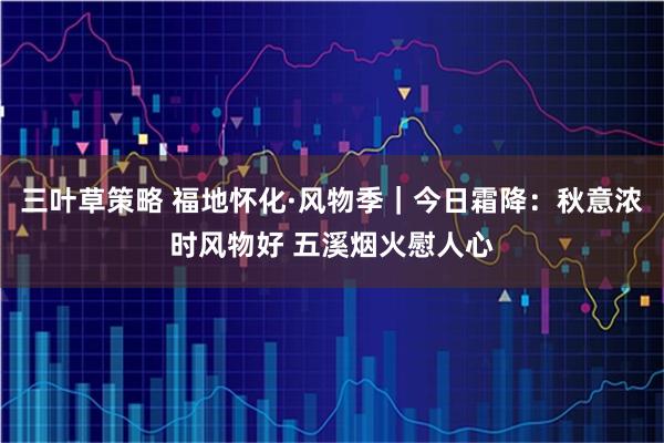 三叶草策略 福地怀化·风物季｜今日霜降：秋意浓时风物好 五溪烟火慰人心